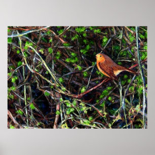 Robin in a hedge poster