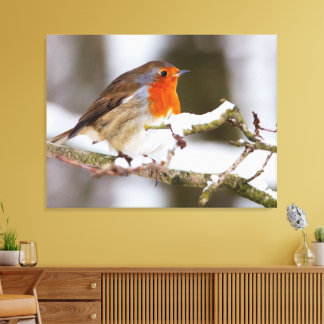 robin in snow canvas print
