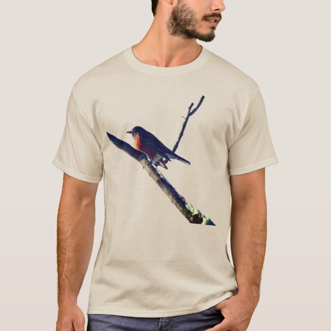 Robin In Snow Nature  T-Shirt (Front)
