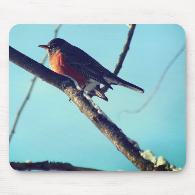 Robin In Snow Wildlife Nature  Mouse Pad (Front)