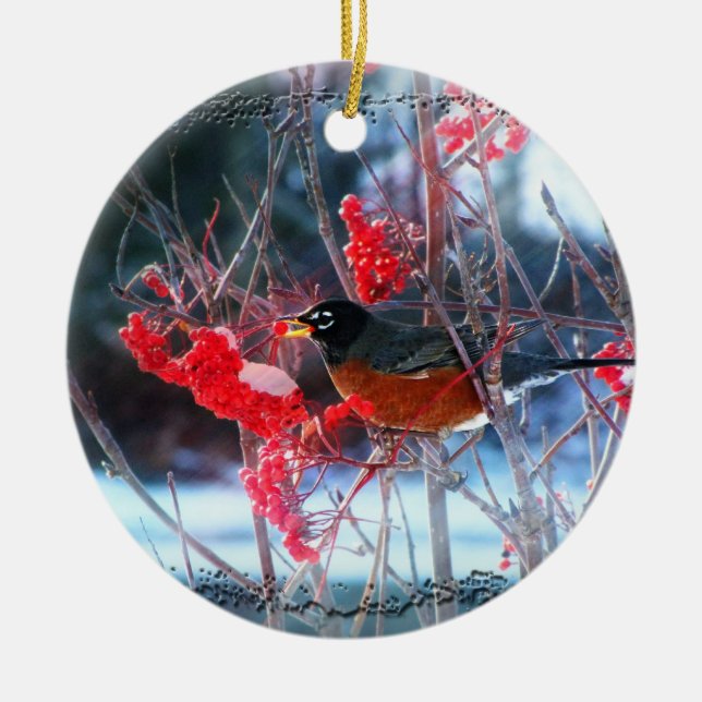 Robin in the Tree Ceramic Tree Decoration (Front)
