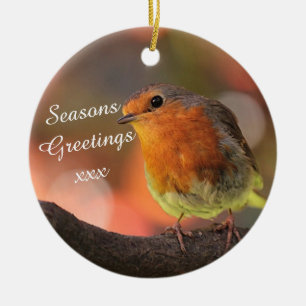 Robin in Tree Seasons Greetings Ceramic Tree Decoration