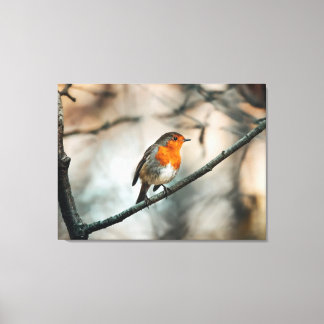 robin in winter canvas print