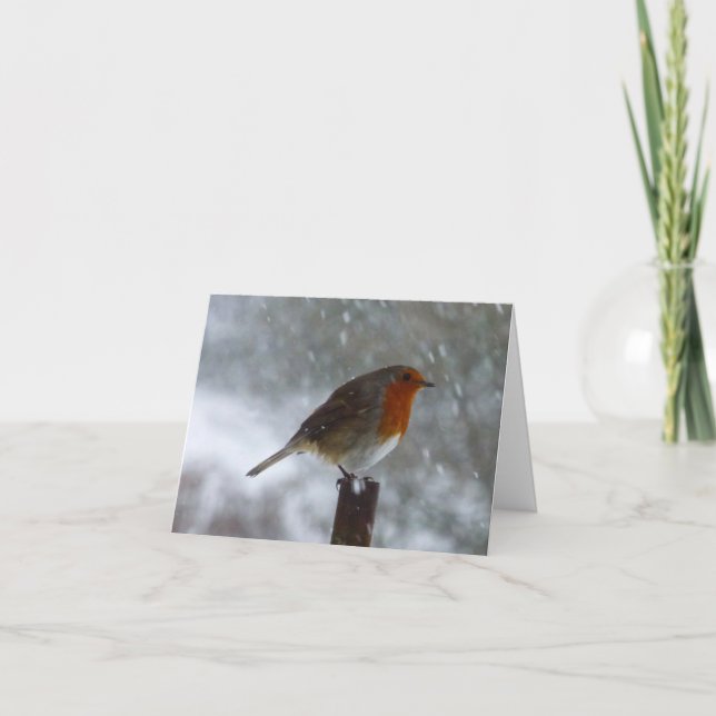 Robin in Winter Folded Holiday Card (Front)