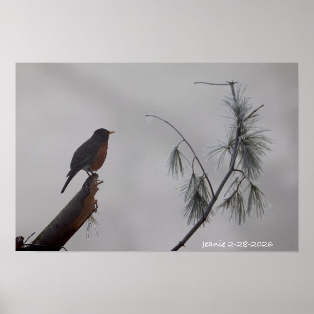 Robin in Winter Poster (Front)