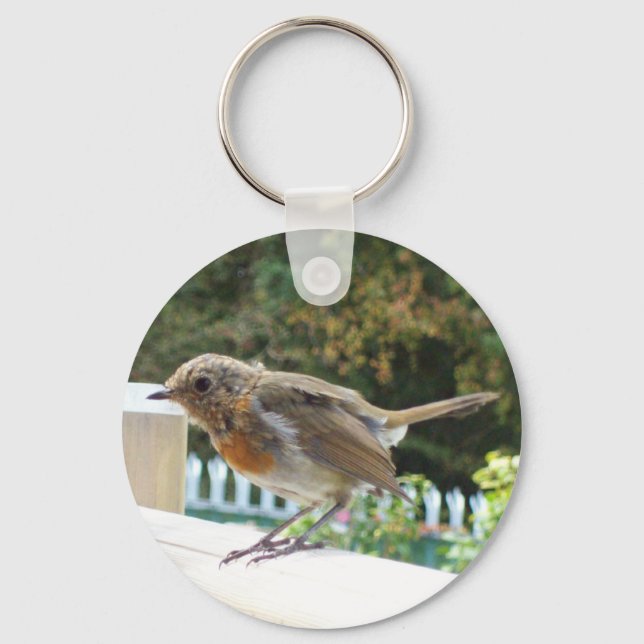Robin Key Chain (Front)