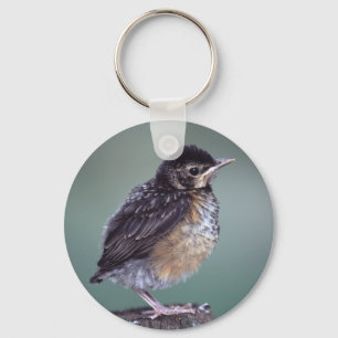 robin key ring