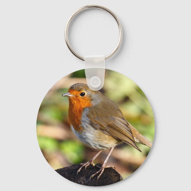 Robin Keychain (Front)