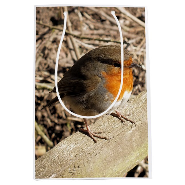 ROBIN MEDIUM GIFT BAG (Front)