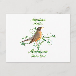 Robin Michigan State Bird Postcard