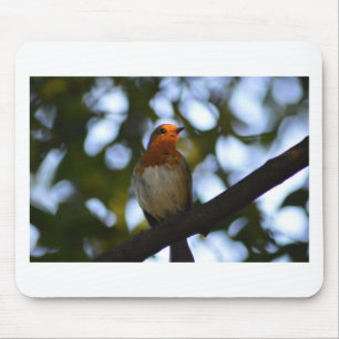 Robin Mouse Pad