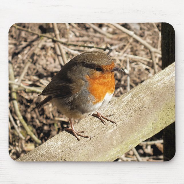 ROBIN MOUSE PAD (Front)