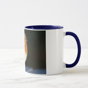 Robin Mug #2