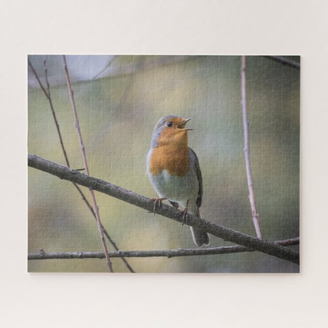 Robin Nature Photo Jigsaw Puzzle (Horizontal)