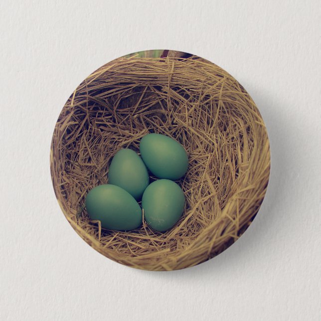 Robin Nest and Eggs 6 Cm Round Badge (Front)