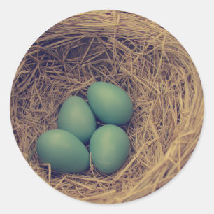 Robin Nest and Eggs Classic Round Sticker