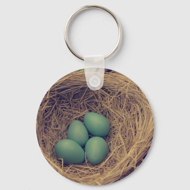 Robin Nest and Eggs Key Ring (Front)