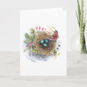 Robin Nest Holiday Card