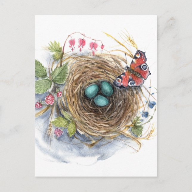 Robin Nest Postcard (Front)