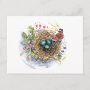 Robin Nest Postcard