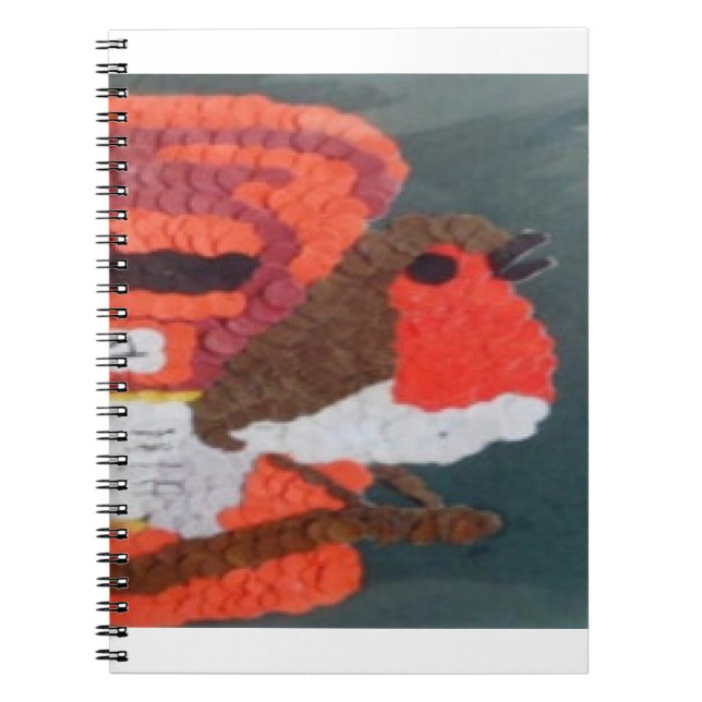 Robin Notebook (Front)