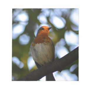 Robin Notepad