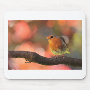 Robin on a branch mouse pad