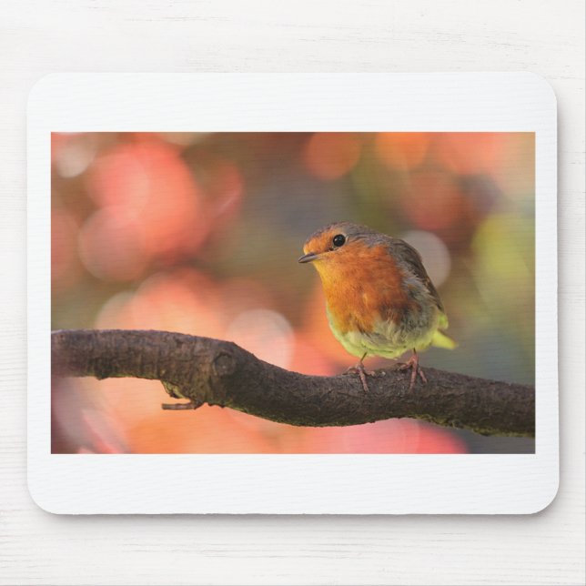 Robin on a branch mouse pad (Front)