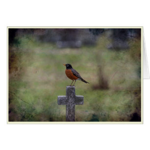 Robin on a cross