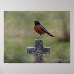 Robin on a cross poster