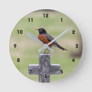 Robin on a Cross Round Clock