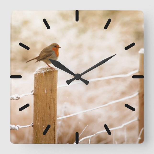 Robin on the Fence Post Clock (Front)