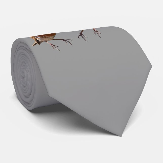 Robin Pals Tie (Grey) (Rolled)