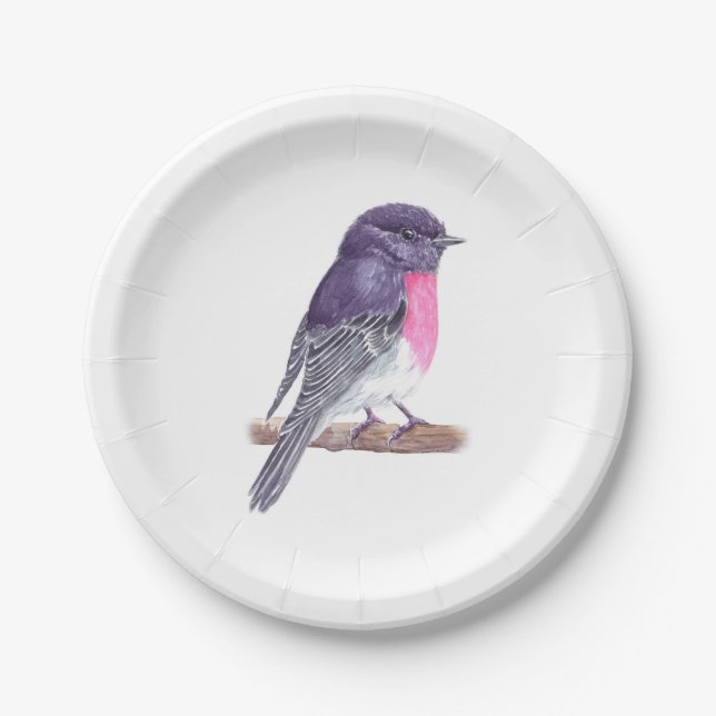 Robin Paper Plates (Front)