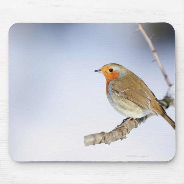 Robin perched on a branch in winter mouse pad (Front)