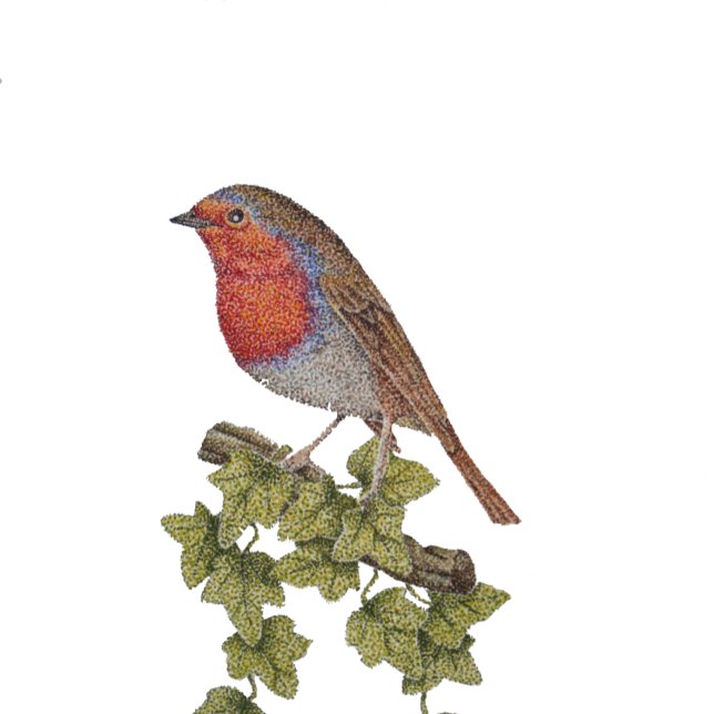 Robin perched on ivy leafs wild birds tie (Creator Uploaded)