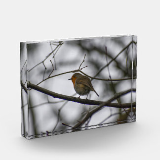 Robin  photo block