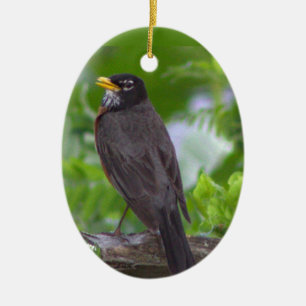 Robin Photo Ornament 