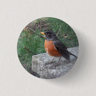 Robin Photo Personalised Name   3 Cm Round Badge