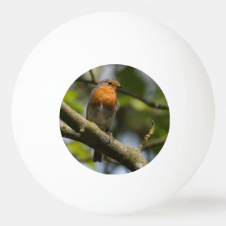 Robin Ping Pong Ball