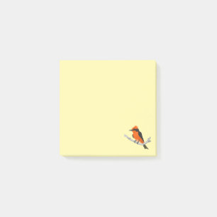 Robin Post-it Notes