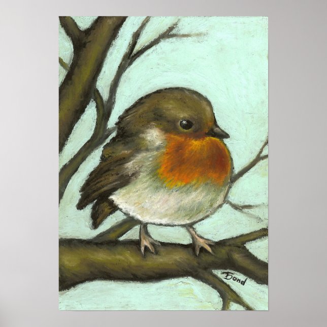 Robin Poster (Front)