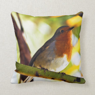 Robin red breast bird cushion