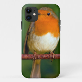 Robin Red Breast Case-Mate iPhone Case