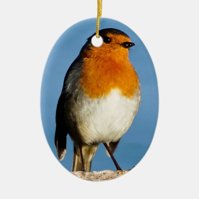 Robin red-breast for Oval Ornament (Front)