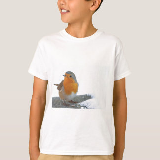 Robin Red Breast T-Shirt