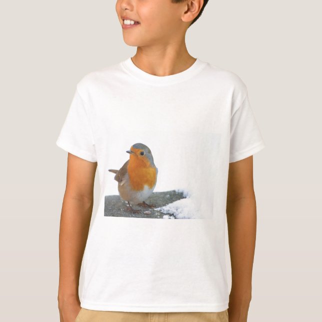 Robin Red Breast T-Shirt (Front)