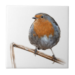 Robin red breast wildlife bird tile