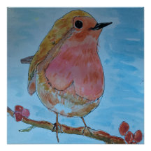 Robin Red water color Glossy Poster