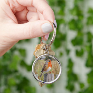 Robin Redbreast Art Design Key Ring